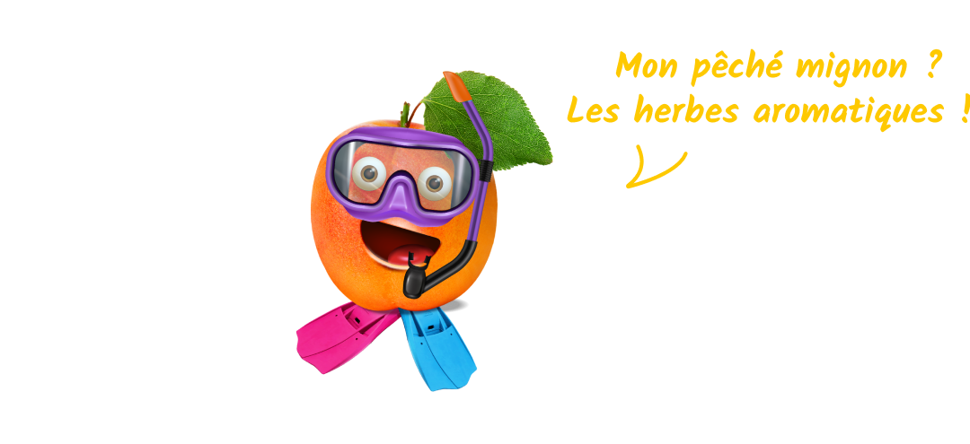 Pêché mignon d'Aldo l'abricot