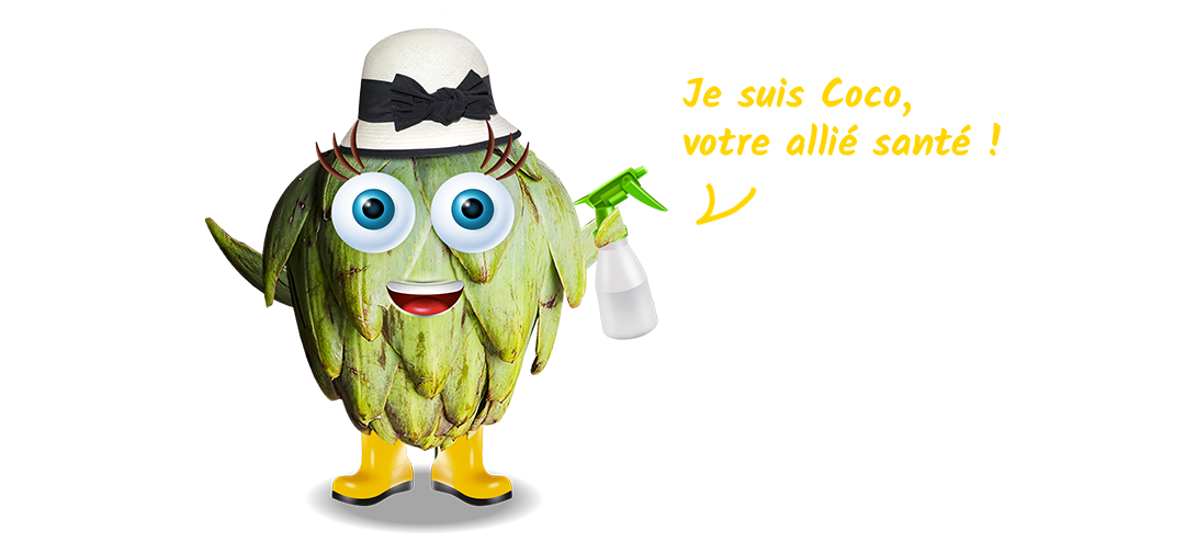 L'artichaut, votre allié santé