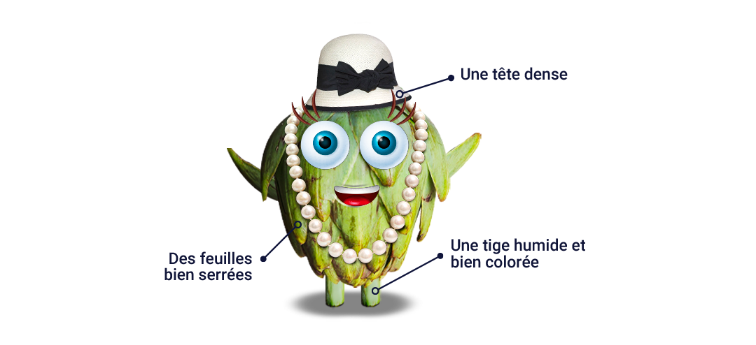 Comment choisir le bon artichaut ?