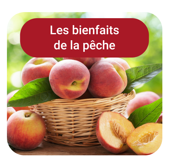 Les bienfaits de la pêche