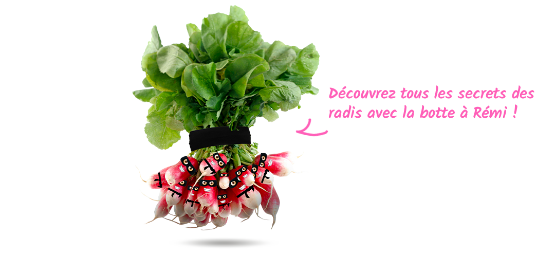 Découvrez les secrets de la botte à Rémi