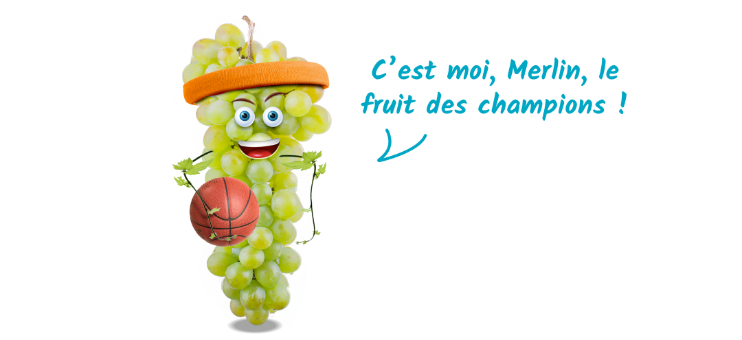Merlin, le fruit des champions !